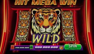 The Ultimate Guide to Online Slot Games
